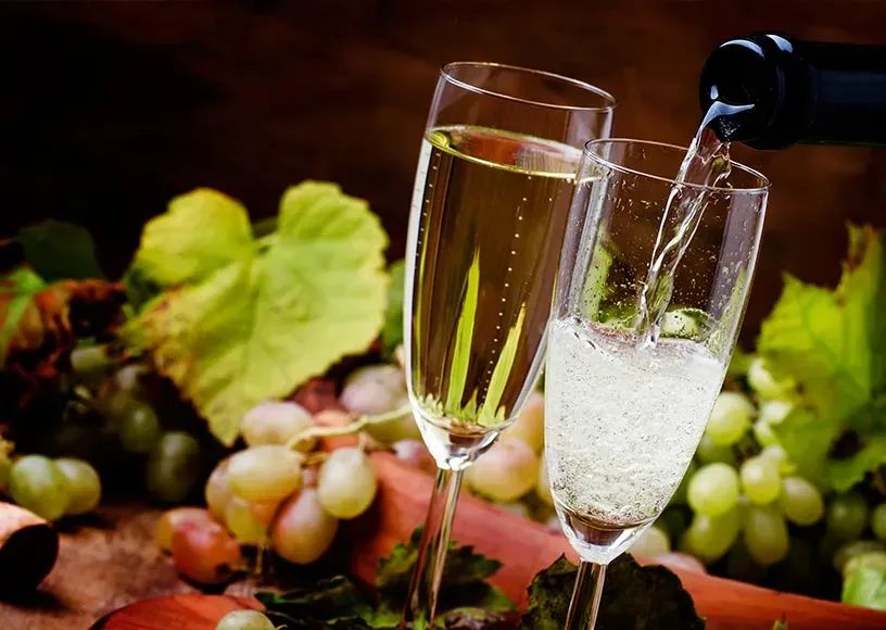 champagne (11)