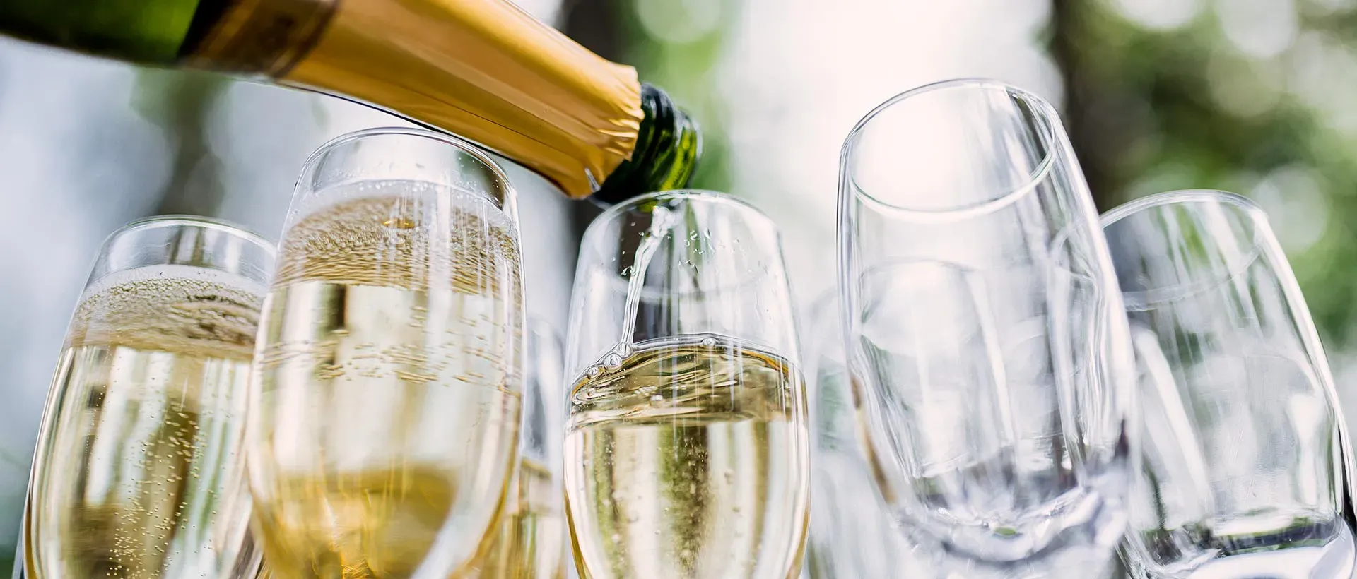 champagne (13)
